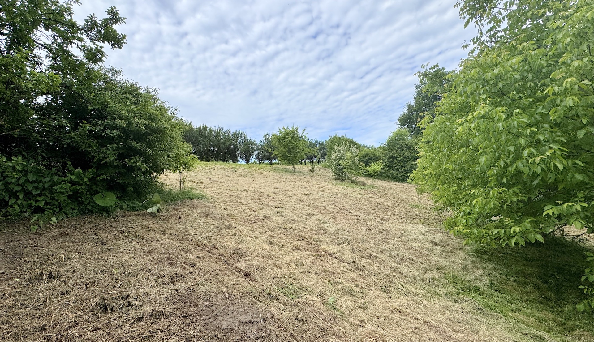 bz-immobilien